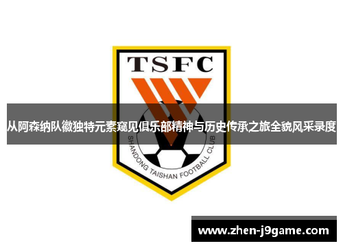 从阿森纳队徽独特元素窥见俱乐部精神与历史传承之旅全貌风采录度